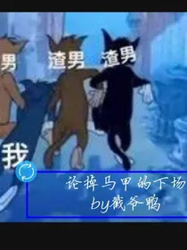 马甲不能掉