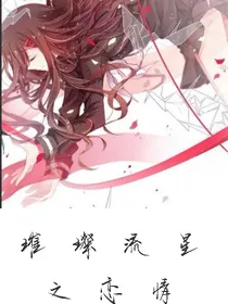璀璨流星之恋情