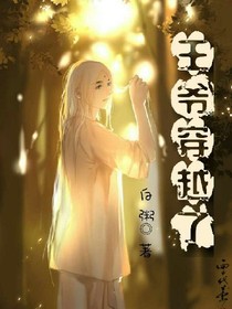 王爷穿越了