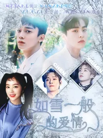 如雪一般的爱情