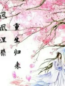 重生归来凤凰涅槃