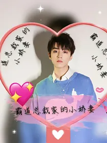 霸道总裁家的小娇妻_d312
