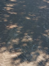 星辰点点