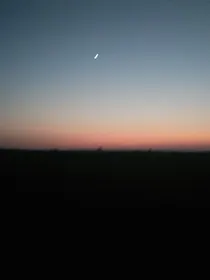 总裁重生娇妻宠上天