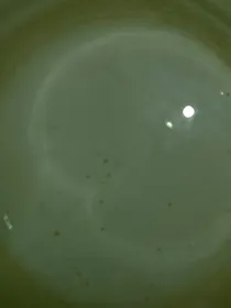阚阚韓v龛撅