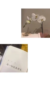 喜欢就要坚持