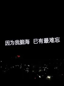 总裁夫人是明星