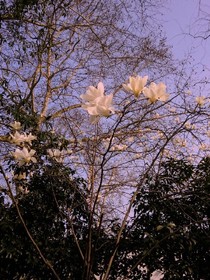 你想啊