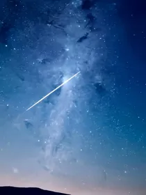神兽金刚之龙之子的秘密