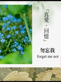 真爱、回忆