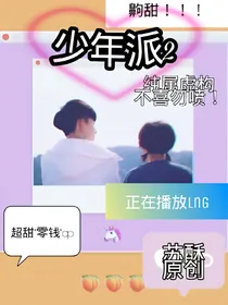 少年派2之邂逅相遇