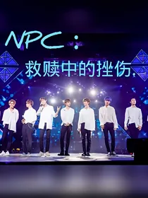NPC：救赎中的挫伤……