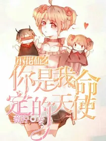 小花仙：你是我命定的天使