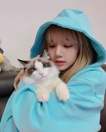 天哪！我变成了Lisa！