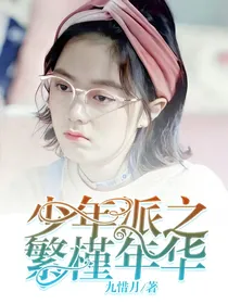 少年派之繁槿年华