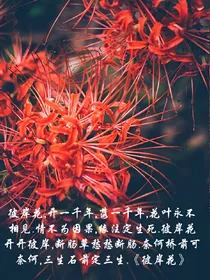 皇家趣学园之重生