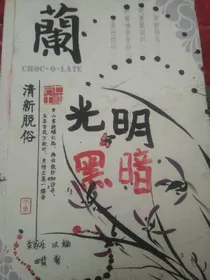 黑暗的光明