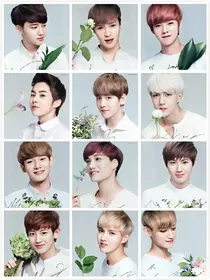 EXO末世:女配你有毒