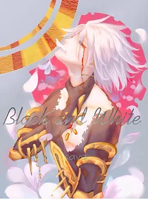 Fate之黑与白
