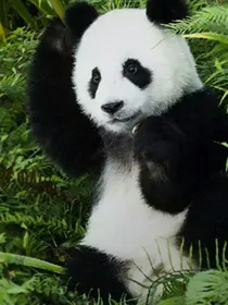 情感日记。