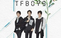 tfboys之团宠我们的小公举