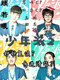 电视剧少年派续写