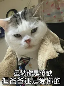 仙女语拯救苍生