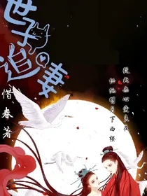 世子追妻