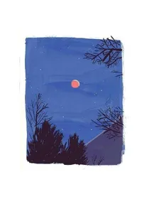 仲夏夜之梦：临渊羡鱼