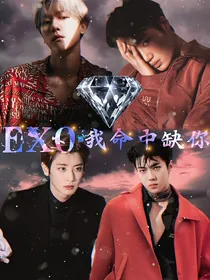 EXO.我命中缺你
