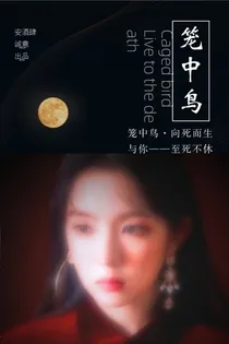 EXO.笼中鸟