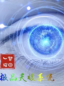 极品天眼系统