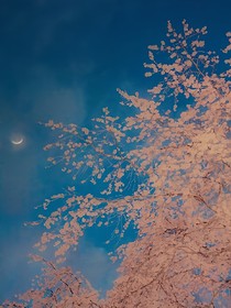 长安祭