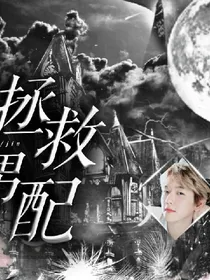 伪橙光封面