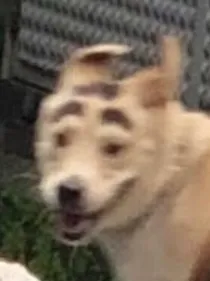 假如全世界都有微信之一起沙雕