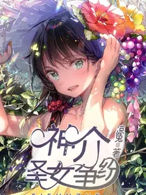 神介：圣女争纷