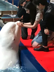 第N个我和他：绝对心上人