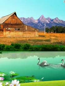 风景游