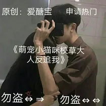 萌宠小猫咪，校草大人反追我