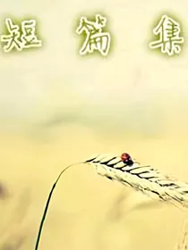 短篇小说集