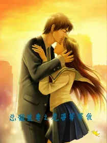 总裁追妻之老婆等等我