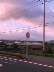 陶忆忱凉。