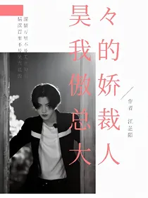 昊&我的傲娇总裁大人