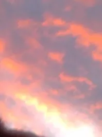 星星跌进梦里。