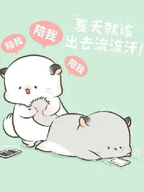 四毛二的小日常