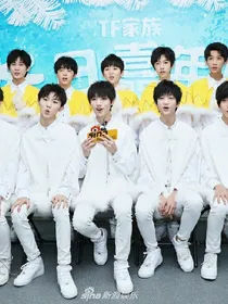 TF家族：我们曾在一起.