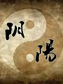 双生阴阳