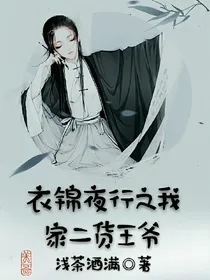 衣锦夜行之我家二货王爷