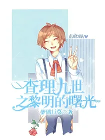 查理九世之黎明的曙光