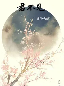 君不见（重生文）